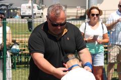 IMG_7686-Copy